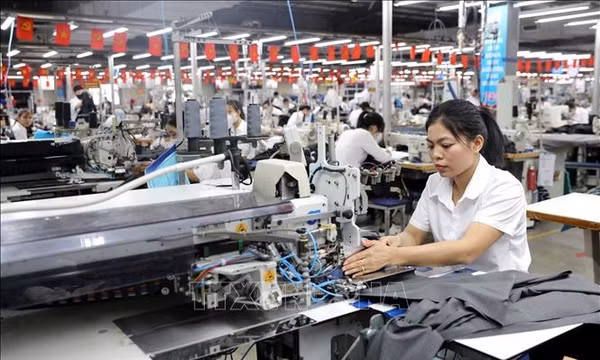 Dữ liệu và AI mở đường tăng giá trị ngành dệt may Việt Nam