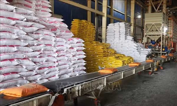 Giá gạo xuất khẩu vẫn duy trì trạng thái ổn định