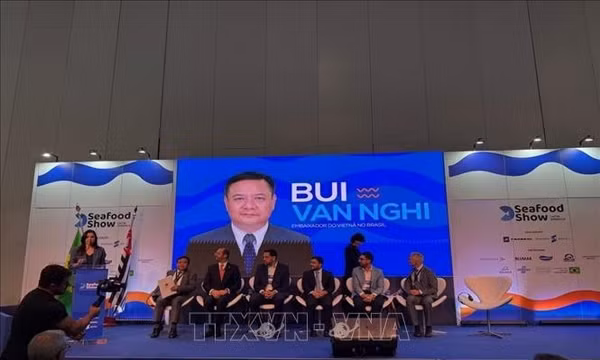 Việt Nam kêu gọi doanh nghiệp Brazil ủng hộ đàm phán PTA với MERCOSUR