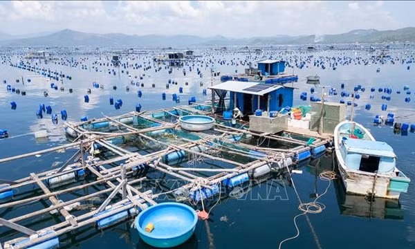 Người dân ven biển thay đổi cách làm để giảm thiệt hại do bão lũ