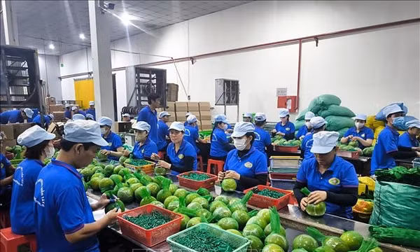 Đưa nông sản chủ lực vượt rào chinh phục thị trường quốc tế
