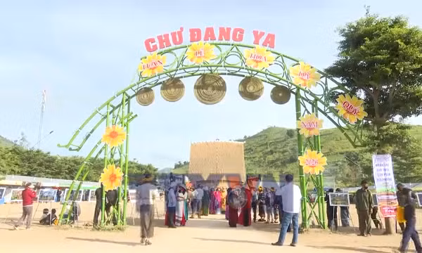 Nhiều hoạt động du lịch trải nghiệm dịp Tuần lễ Hoa dã quỳ