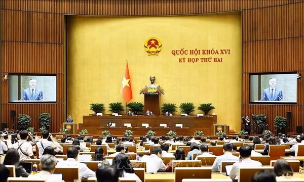Quốc hội nghe trình bày tờ trình, báo cáo thẩm tra về 5 dự án luật