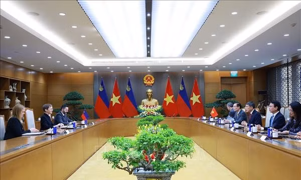 Thủ tướng Lê Minh Hưng và Thủ tướng Liechtenstein Brigitte Haas hội đàm