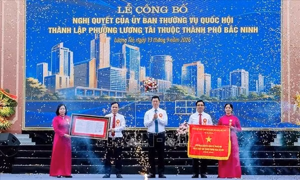 Khai thác tối đa không gian phát triển từ Cảng hàng không Gia Bình
