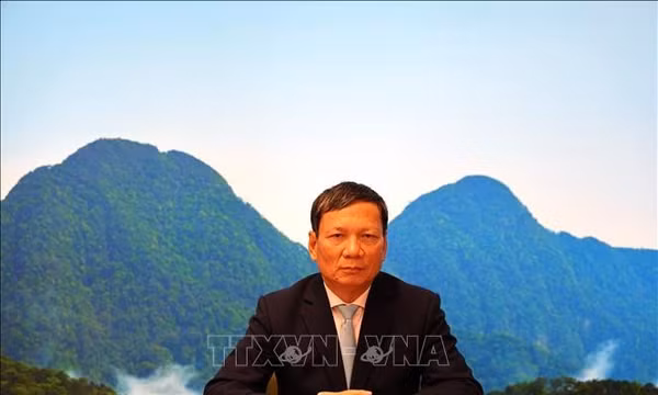 Thế hệ trẻ vun đắp tương lai cộng đồng người Việt tại châu Âu