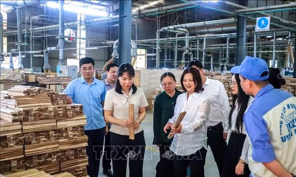 Khai mở dư địa từ không gian phát triển mới