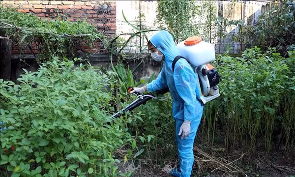 Xử lý triệt để các ổ dịch sốt xuất huyết, hạn chế ca chuyển nặng