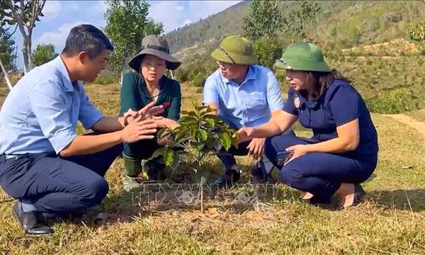 Tạo đồng thuận từ cơ sở qua đối thoại để thúc đẩy phát triển 