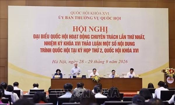Xác định rõ tiêu chí nhận diện đối tượng tham gia BHXH bắt buộc