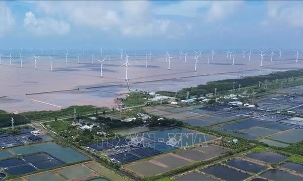 Hút nguồn lực doanh nghiệp, Cà Mau nâng tầm năng lượng tái tạo