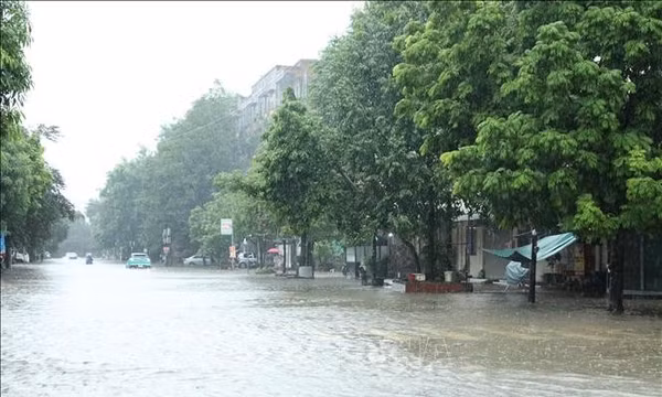 Mưa lớn gây nhiều thiệt hại tại các địa phương