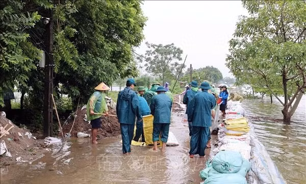 Nước sông Bùi dâng cao gây tràn đê: Hà Nội khẩn cấp ứng phó