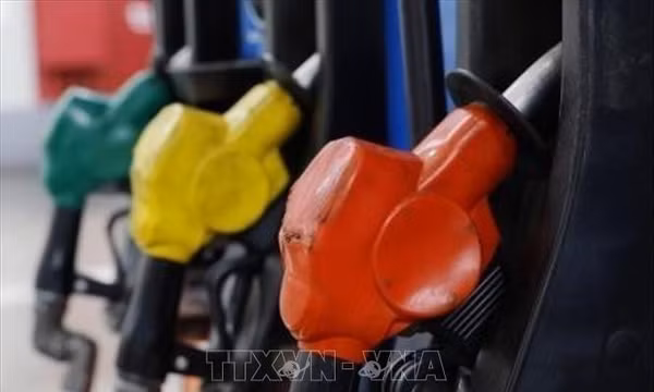 Giá dầu châu Á tăng lần đầu tiên trong 5 phiên