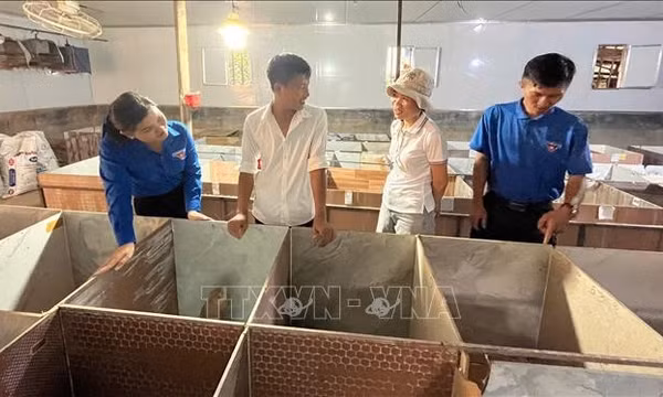Đồng hành, hỗ trợ thanh niên Đồng Nai khởi nghiệp