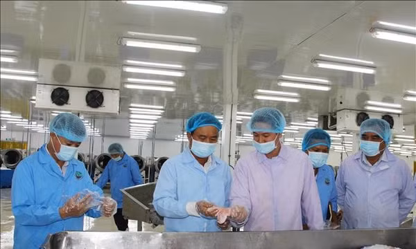 Tăng cường kiểm soát, ngăn ngừa vi phạm IUU