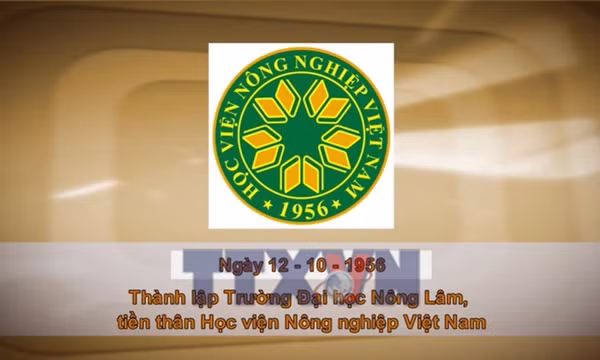 Khoảnh khắc & sự kiện ngày 12/10 