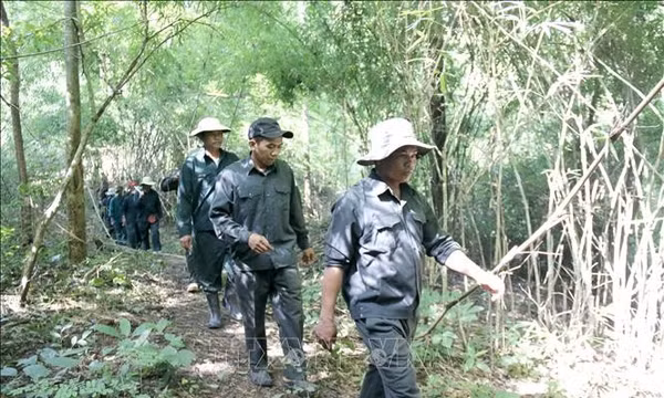 Lâm Đồng: Huy động lực lượng bảo vệ hơn 1,1 triệu ha rừng 