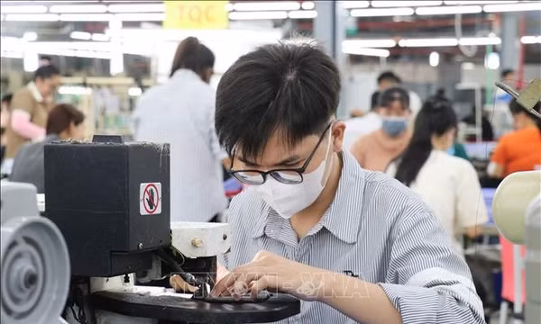 Tây Ninh tạo giá trị gia tăng cao từ 6 nhóm ngành công nghiệp