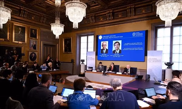 Nobel 2026: Giải mã 'bàn tay' phân tử - khám phá cứu sống hàng triệu người