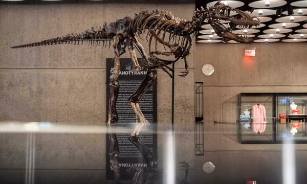 Hóa thạch khủng long Nanotyrannus được bán với giá 47,3 triệu USD
