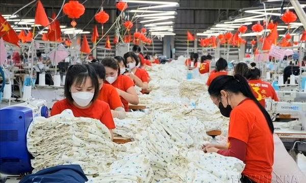 Việt - Bỉ mở rộng hợp tác, khai thác dư địa thương mại và đầu tư