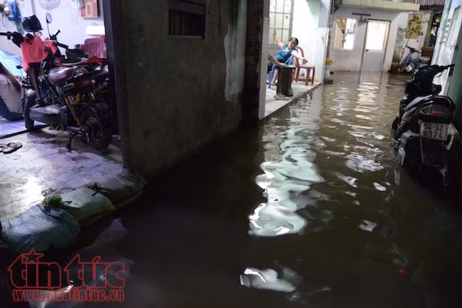 Người dân TP Hồ Chí Minh lại ‘bì bõm' trong nước triều dâng cao ảnh 5