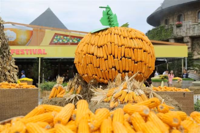 Tiểu cảnh Halloween được tạo từ hơn 10 tấn bí, ngô, táo tại Sun World Ba Na Hills ảnh 1