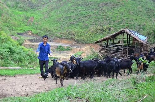 Lan tỏa thông điệp 'Cả nước chung tay vì người nghèo' ảnh 1