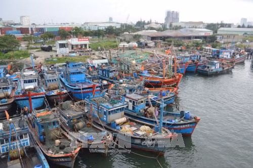 Các địa phương miền Trung chủ động phòng, chống áp thấp nhiệt đới ảnh 1