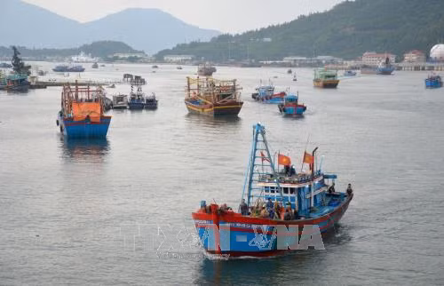 Các tỉnh ven biển miền Trung chủ động ứng phó với áp thấp nhiệt đới ảnh 1