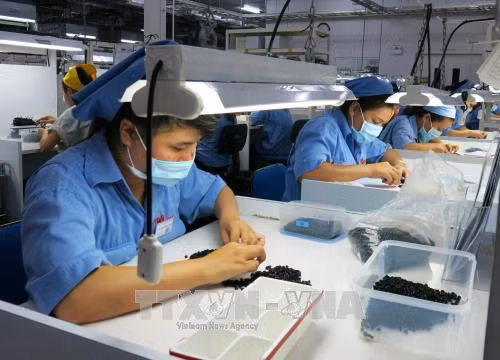 Tăng trưởng GDP 6,7%: Tránh tình trạng 'trên quyết liệt, giữa chần chừ, dưới chậm chạp' ảnh 1