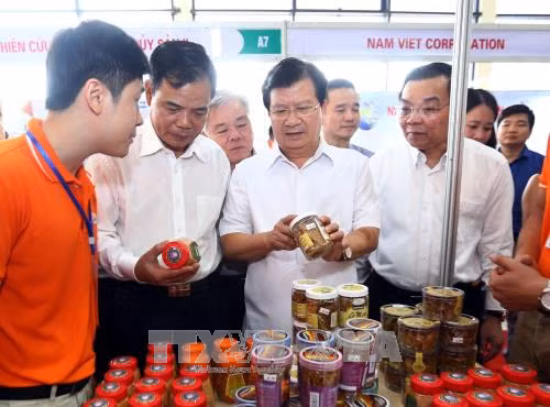 Phó Thủ tướng Trịnh Đình Dũng thăm Hội chợ Cá tra và các sản phẩm thủy sản Việt Nam ảnh 1