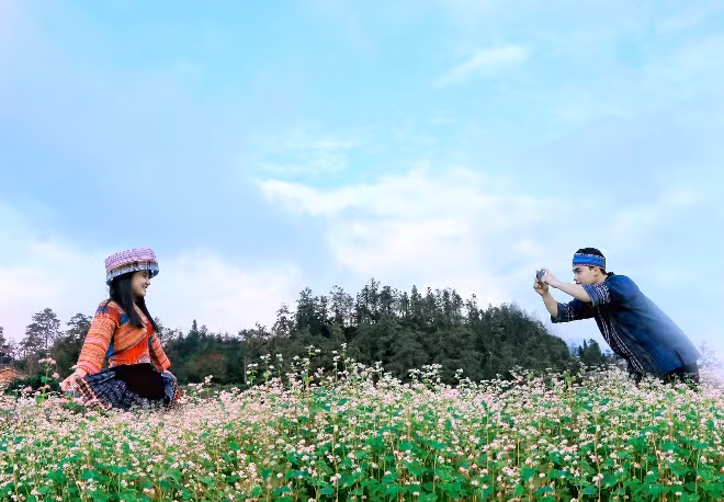 Lễ hội hoa Tam giác mạch tôn vinh loài hoa đặc trưng của núi rừng Tây Bắc ảnh 2