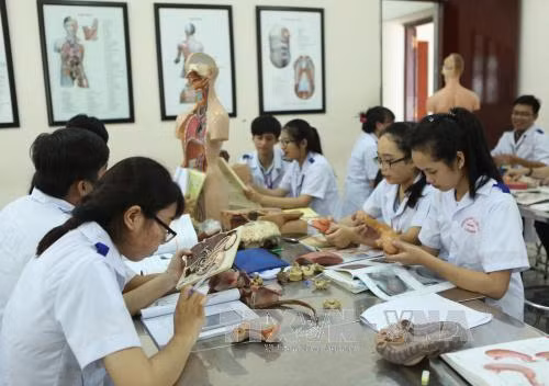 Các chính sách nổi bật có hiệu lực từ tháng 10/2017 ảnh 1