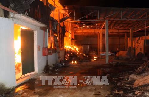 Thanh Hóa: Cháy lớn tại kho sản xuất tăm ảnh 1