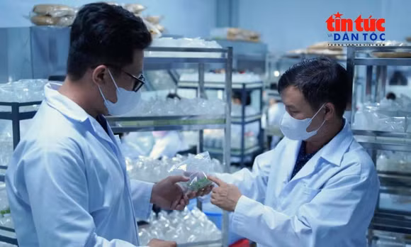 Kết nối nguồn lực khoa học để thúc đẩy phát triển TP Hồ Chí Minh
