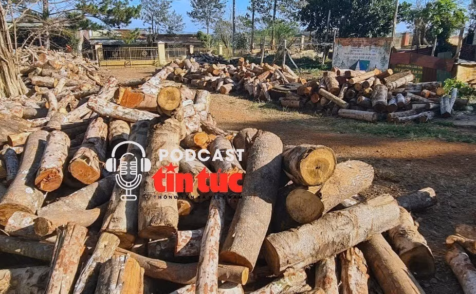 Tin nóng trong nước nghe nhanh sáng 7/2