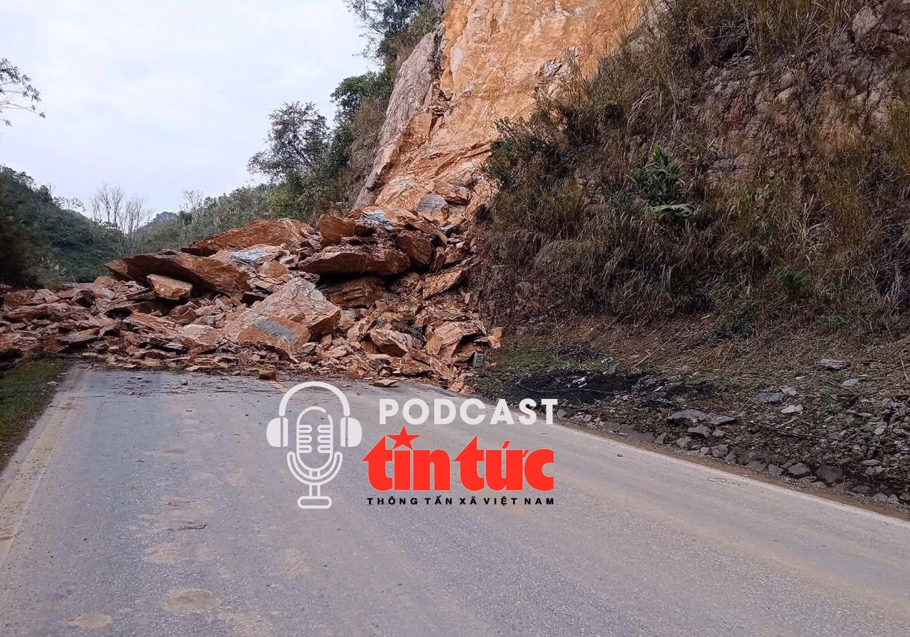 Tin nóng trong nước sáng 15/12/2025