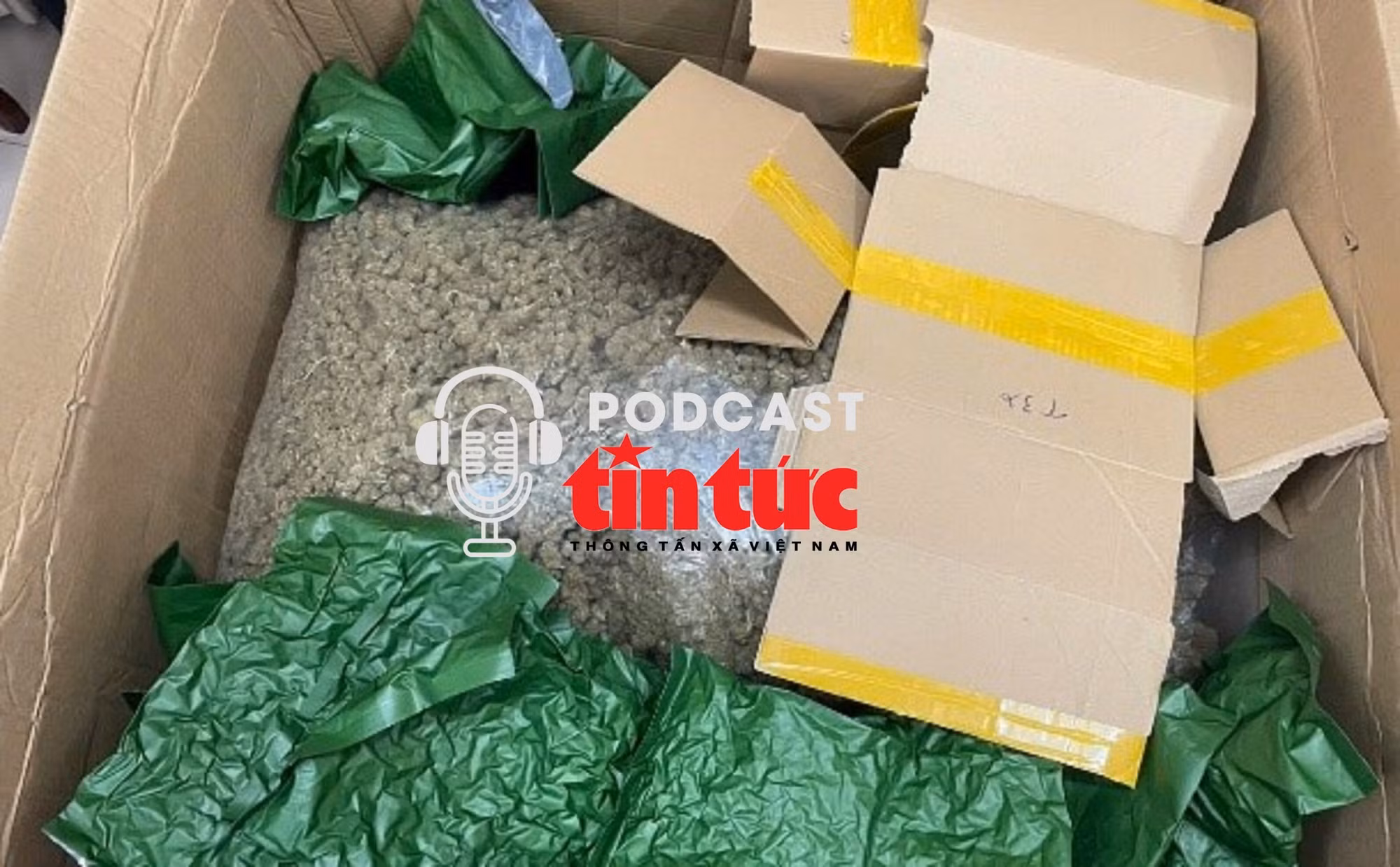 Tin nóng trong nước nghe nhanh sáng 20/2
