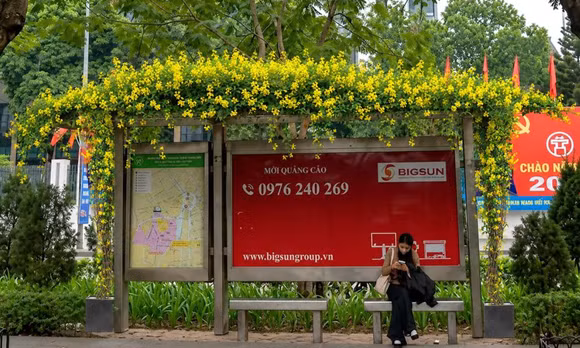 Hà Nội phủ kín cây xanh trụ metro, hầm chui, cầu vượt