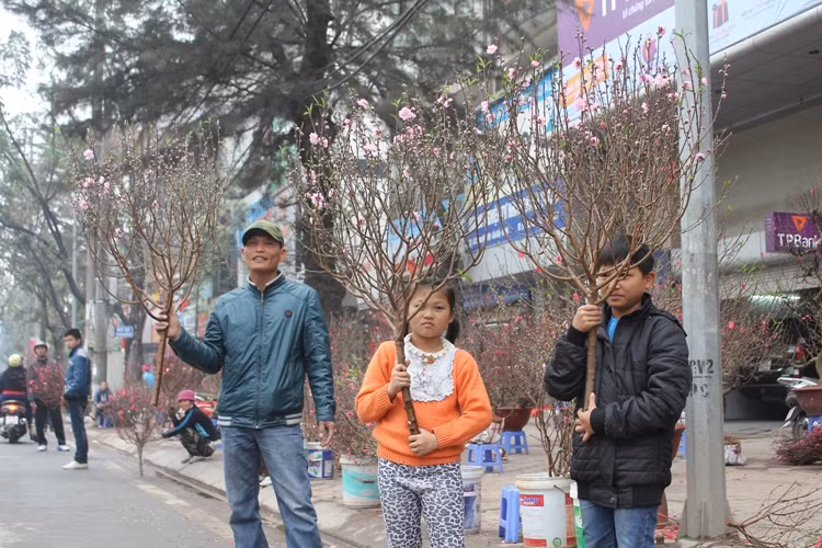 Náo nức đào, quất ảnh 5