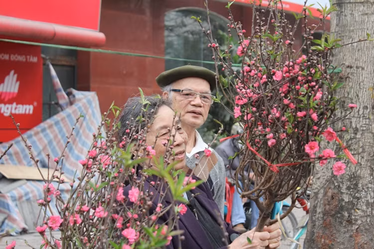 Hoa Tết giảm nhiệt ảnh 1