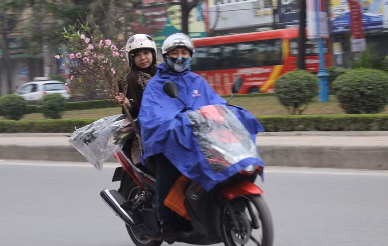 Hoa Tết giảm nhiệt ảnh 5