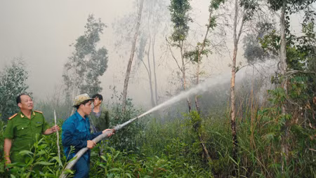 Dập tắt đám cháy rừng phòng hộ tại Bắc Ninh ảnh 1