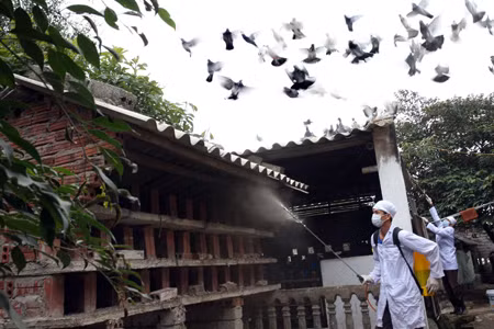 Chủ động ứng phó sau ca tử vong đầu tiên do H5N1 ảnh 1