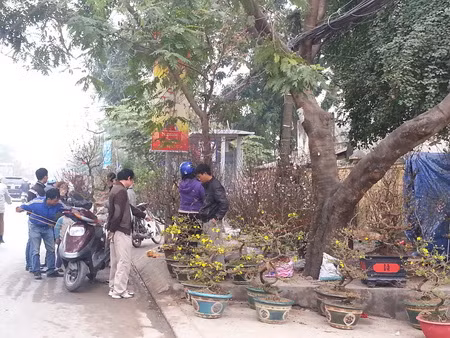 Tết, tết, tết, tết đến rồi... ảnh 2