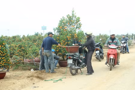 Tết, tết, tết, tết đến rồi... ảnh 3