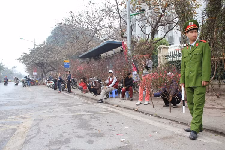 Náo nức đào, quất ảnh 6