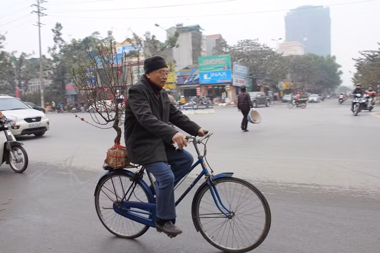 Náo nức đào, quất ảnh 21